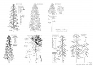 tree design-Guillaume laigle